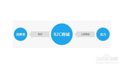 b2c商城app开发方案,基本的开发思路和功能