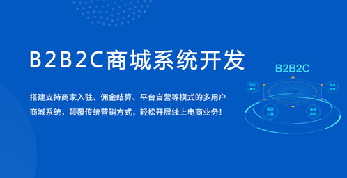 商城系统开发 电商平台解决方案