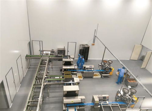 项目建设千帆竞 转型发展势如虹