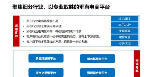 企业多用户商城 b2b2c 平台建设与运营解决方案 附ppt全文